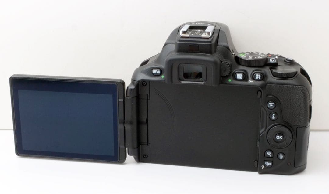 S数約1400回！Nikon D5600★Wi-Fi内蔵★超美品★すぐ使える