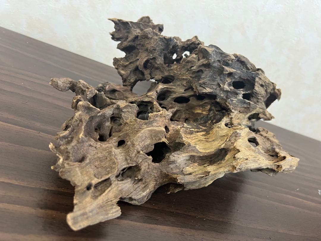 XM-307 流木　マシンガンウッド ブランチウッド　アクアリウム