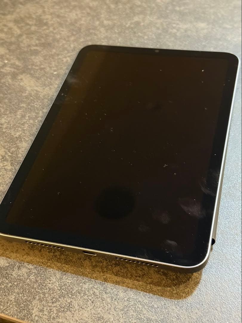 ジャンク美品 iPad mini6 64GB Wi-Fi ペンシル付 ケース付