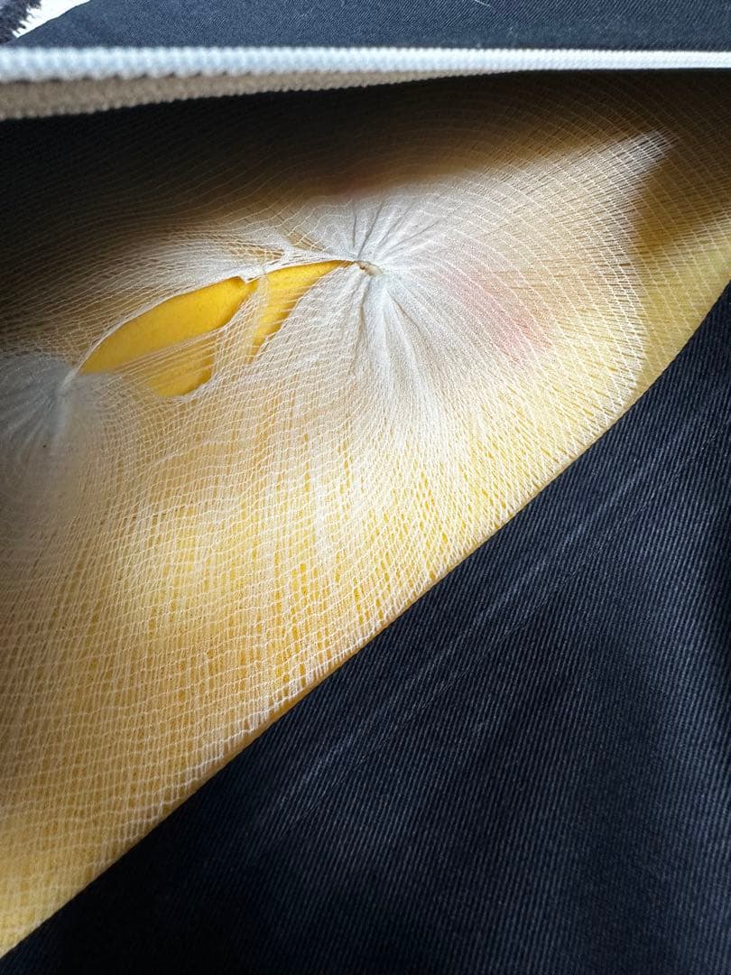 マスターマインドジャパン　テンピュール クッション mastermind レア