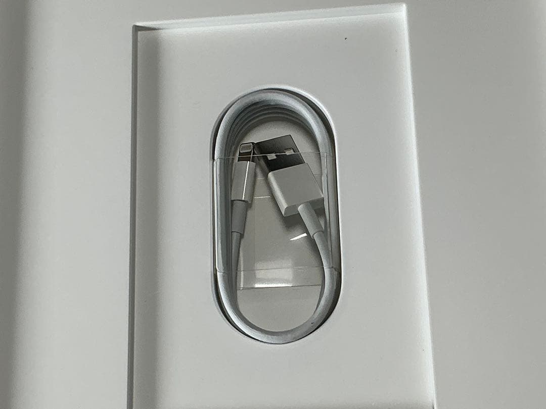 iPad Pro 9.7インチ　128G 本体