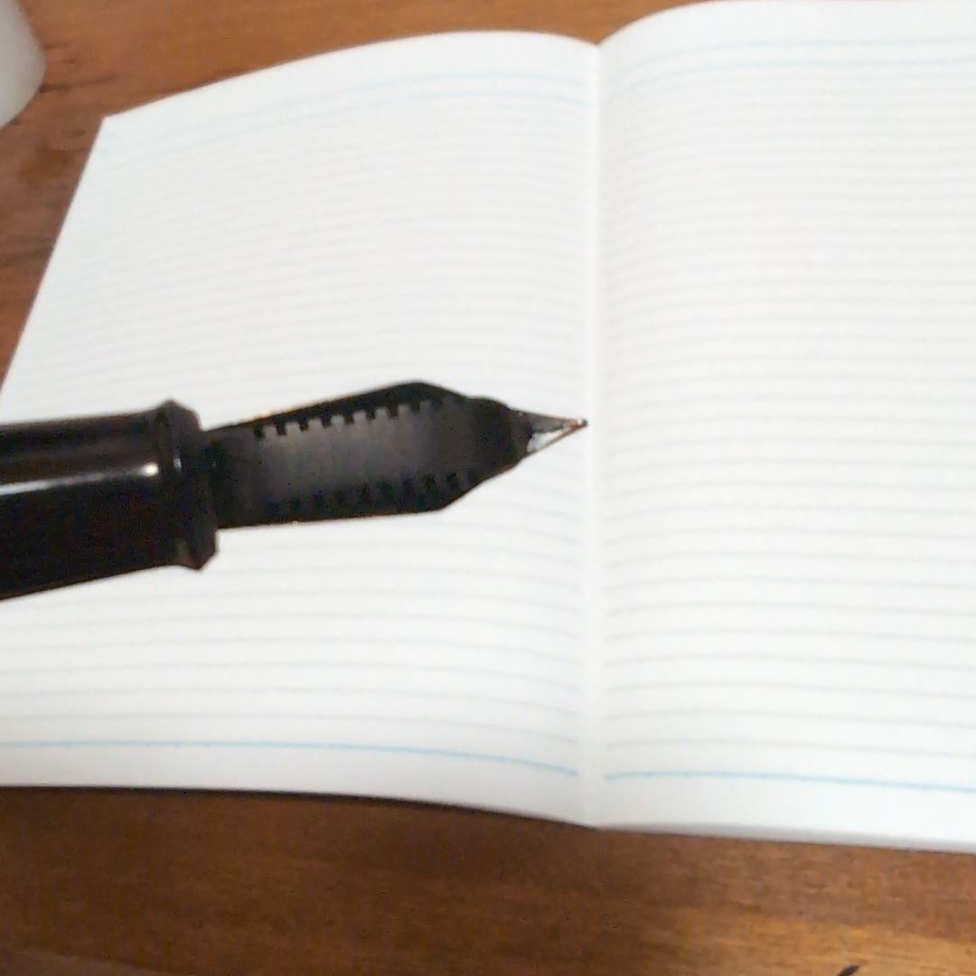 ONOTO THE PEN ブラック万年筆