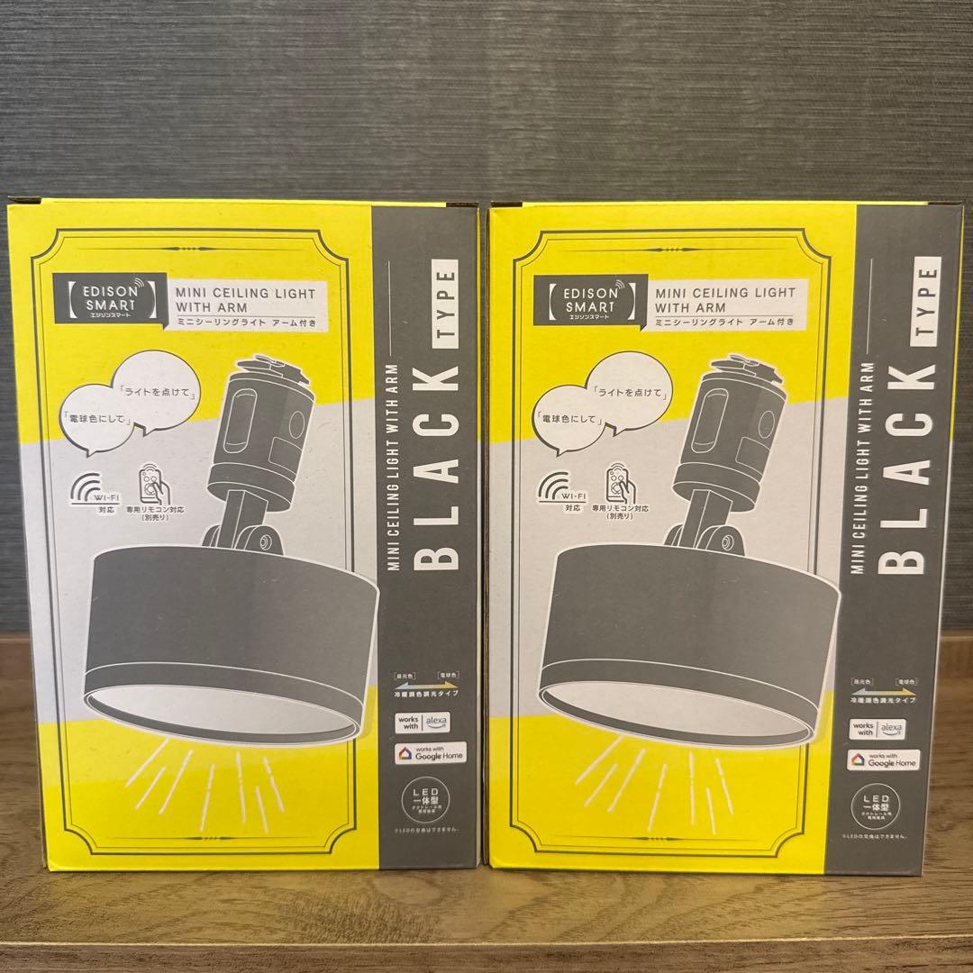 シーリングライト・天井照明 EDISON SMART MINI CEILING LIGHT