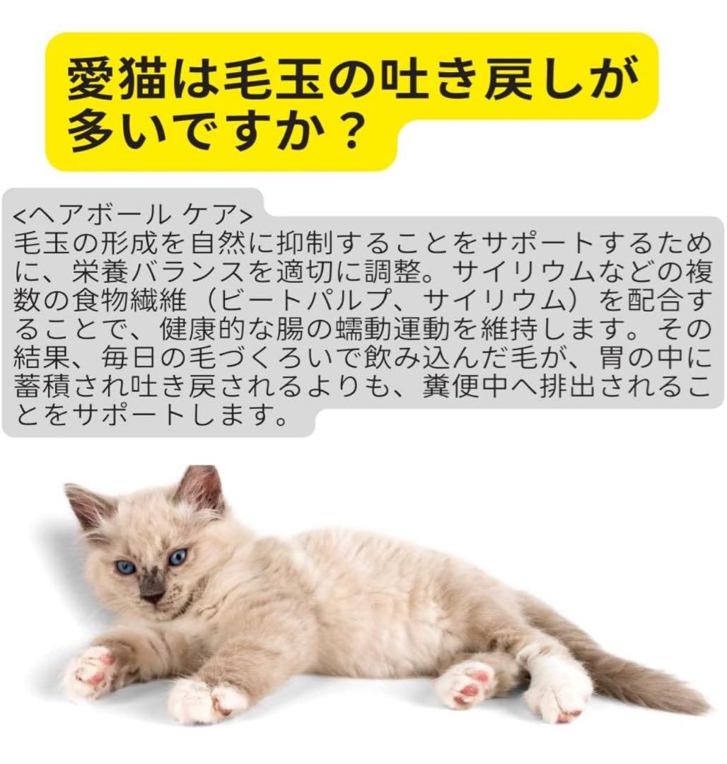 ロイヤルカナン ヘアボール ケア（毛玉が気になる猫用）成猫用 2kg × 2袋