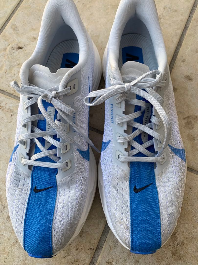 ペガサスプラス　27.5cm (着用2度、6km走)