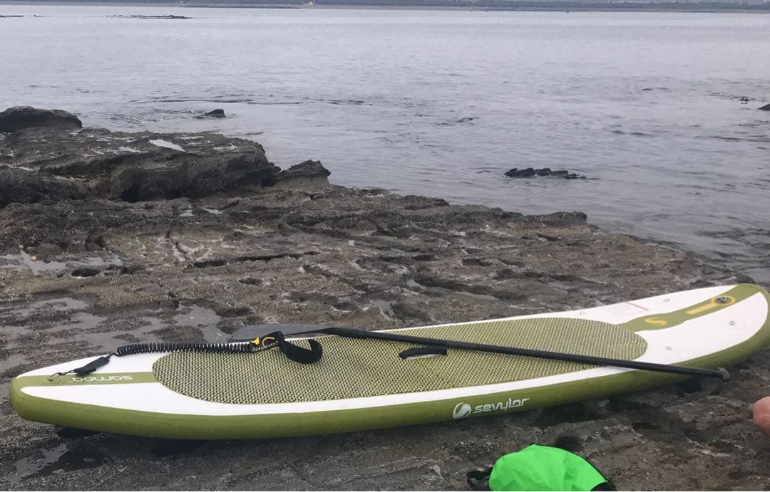 SAPインフレータブル信頼のメーカー品スタンドアップパドルボード