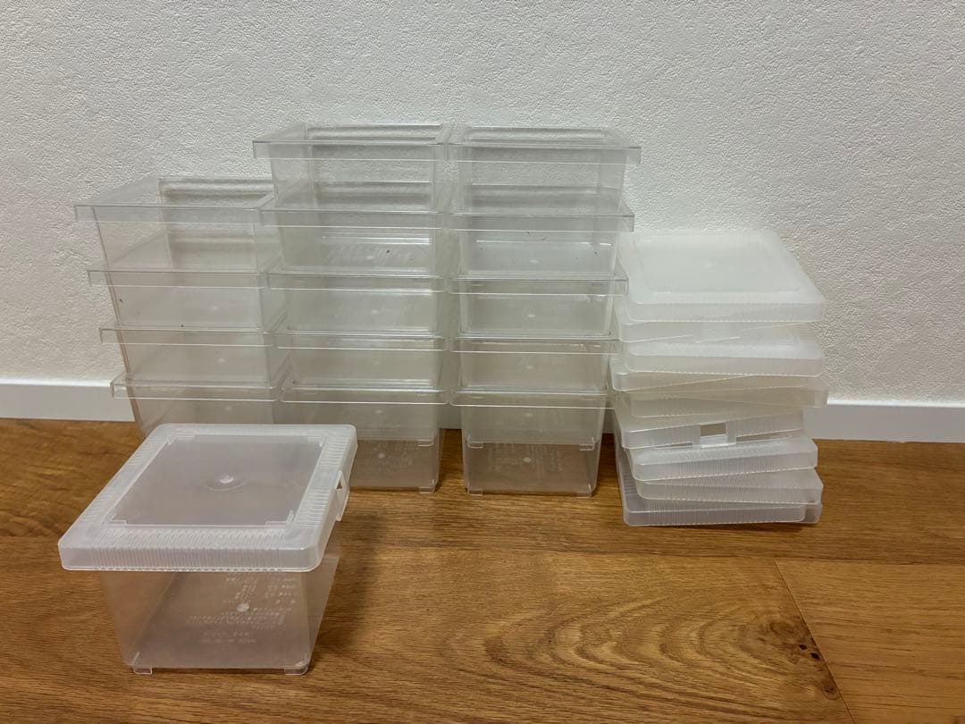 クワガタ ・カブトムシ　飼育良品　まとめ売り