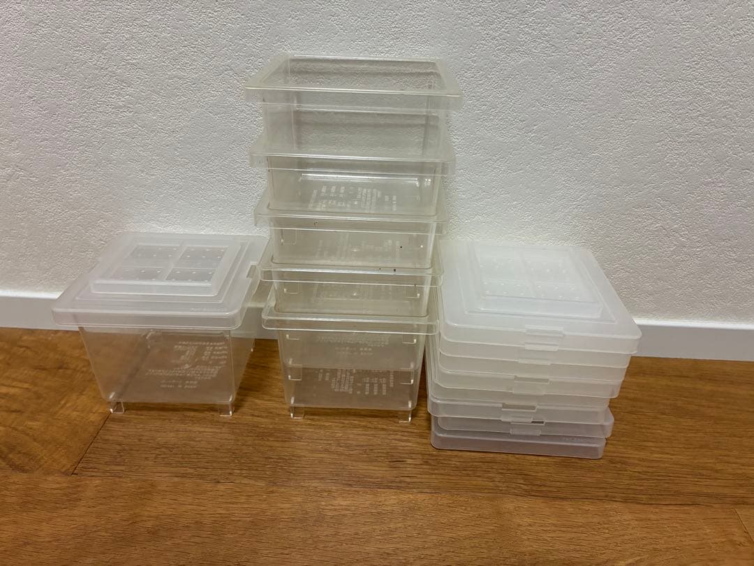 クワガタ ・カブトムシ　飼育良品　まとめ売り