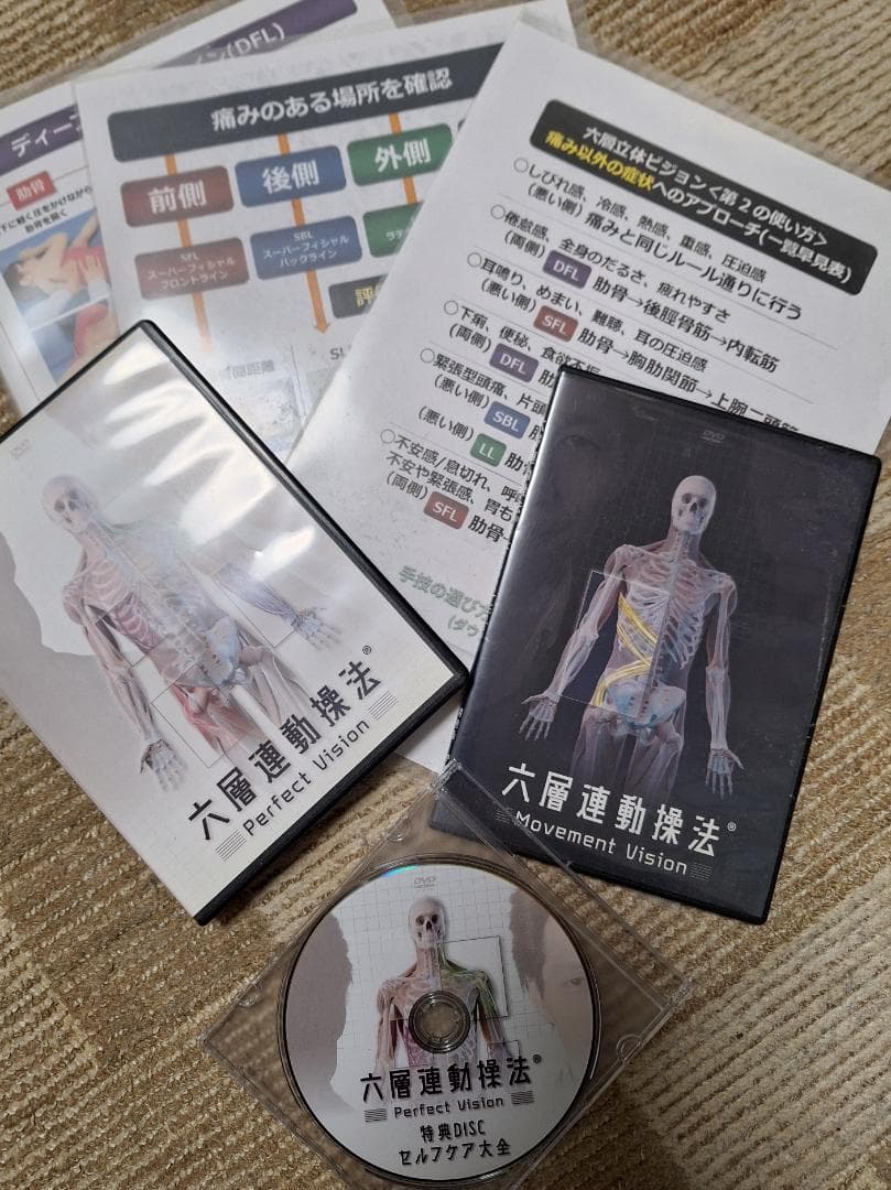 六層連動操法 Perfect Vision DVD