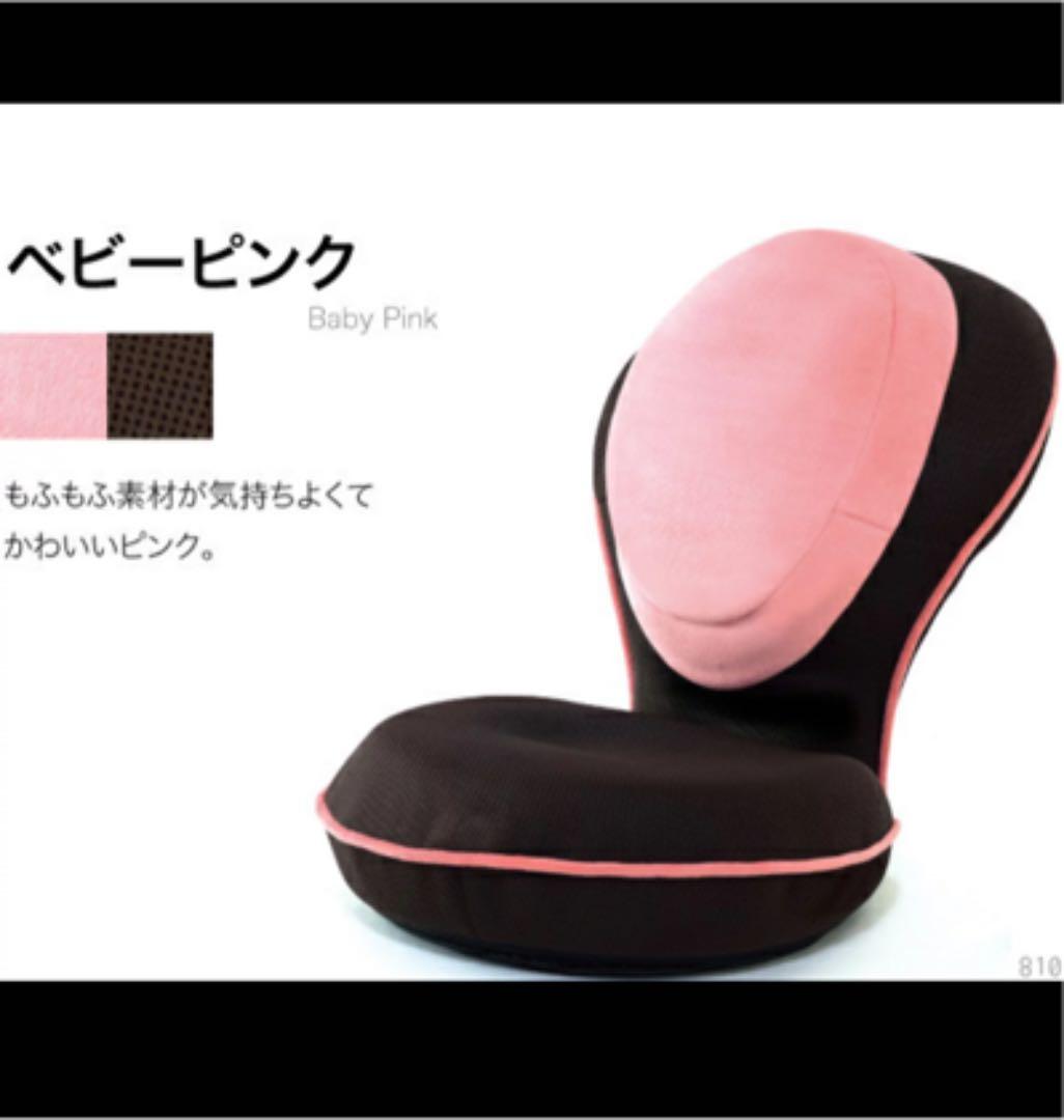 む*芸様 2個セット 背筋がGUUUN 美姿勢座椅子 リッチ RICH