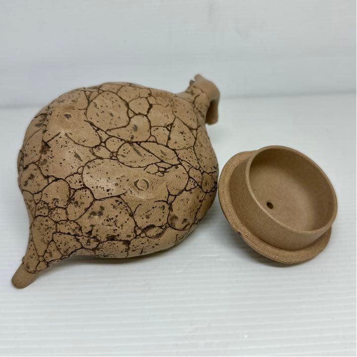 在銘 梅花 枯木 急須 中国