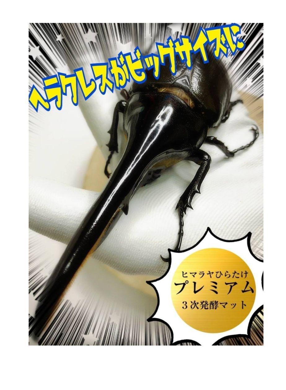 特選！プレミアム3次発酵カブトムシマット【40L】トレハロース強化配合！産卵にも