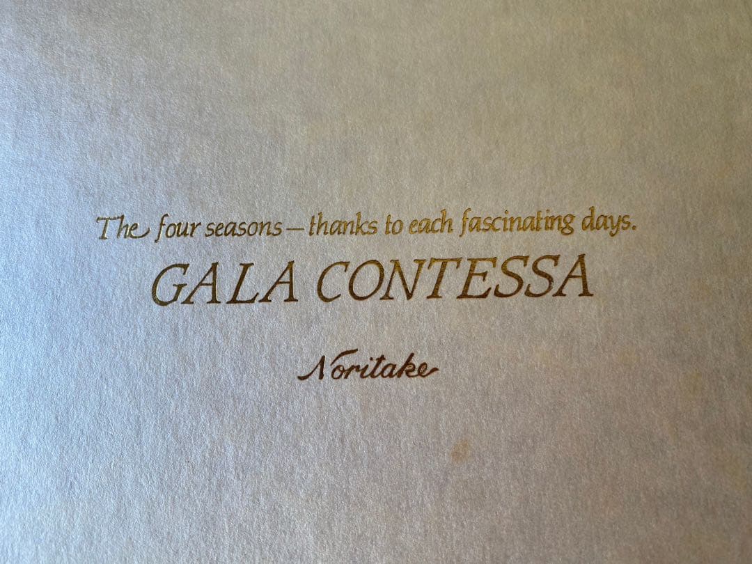 新品 未使用 ノリタケ ガラ コンテッサ ケーキ皿 デザート皿 18cm セット