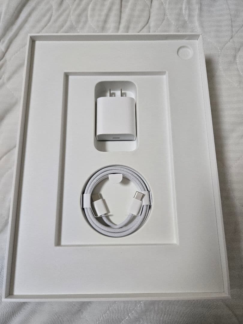 iPad(A16) wiiFi+Celluular 128GB SIMフリー