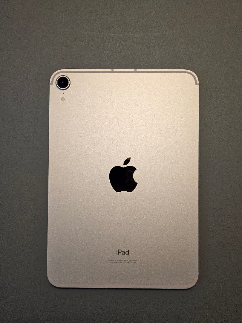 専用 iPad mini 6 64GB Wi-Fi+ Cellular ピンク