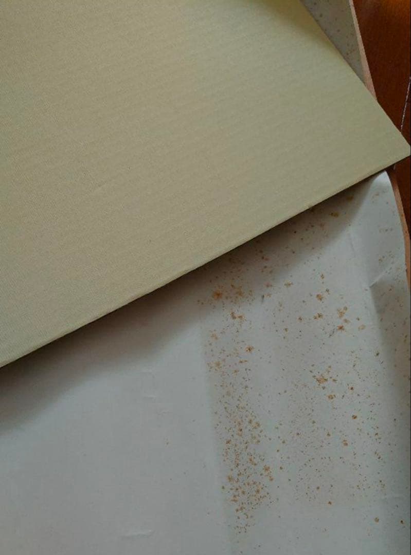 【鳥山明の世界展】クロノ・トリガー B2ポスター 「のどかな一日」