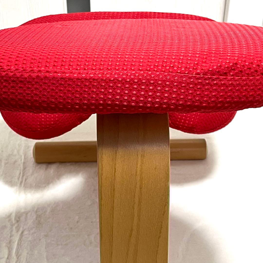 【美品】バランスイージー グレー 赤カバー付き バランスチェア RYBO