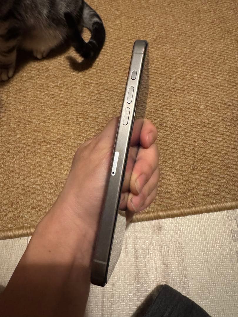 The Oil Man専用，海外版iphone 15 Pro Max 512GB