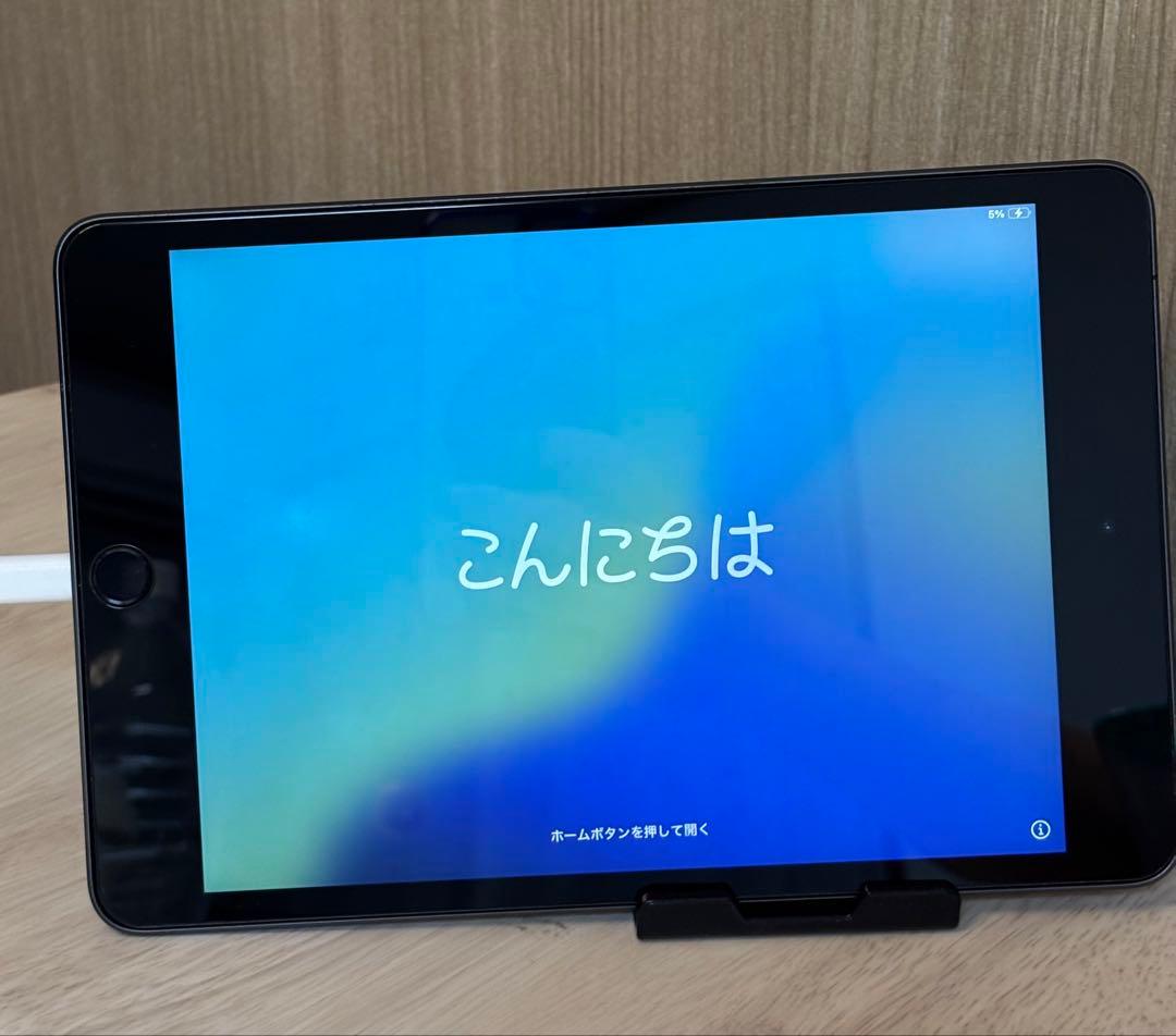 iPad mini Wi-Fi + Cellular 256GB スペースグレイ