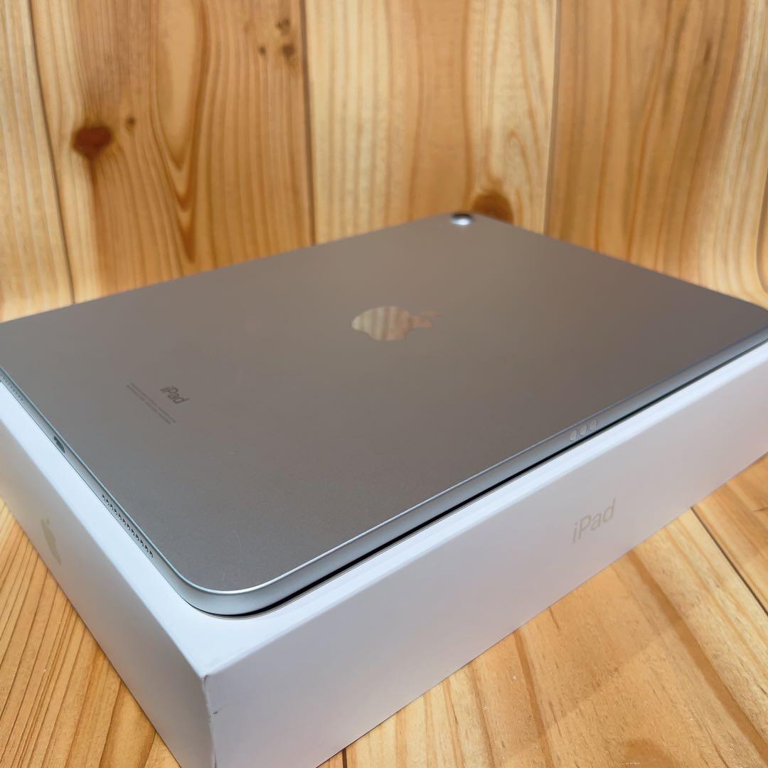 美品 Wi-Fi 本体 iPad 第10世代 64 GB 431 シルバー