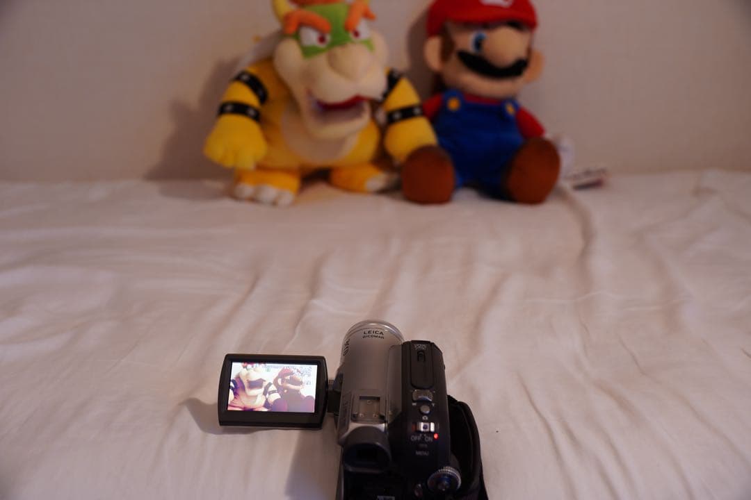 ビデオカメラ Panasonic NV-GS320-S