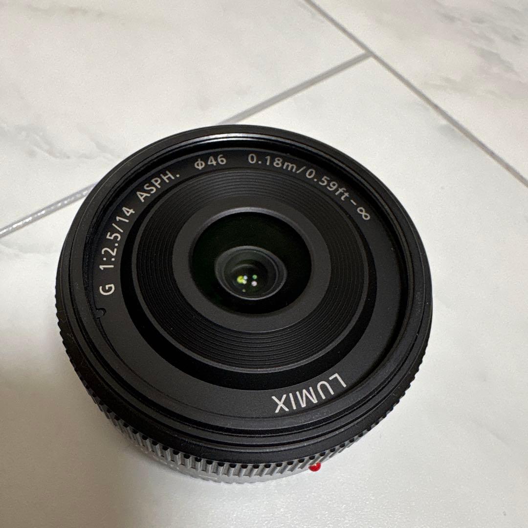 デジタル一眼カメラ　DMC-GF2W Panasonic LUMIX