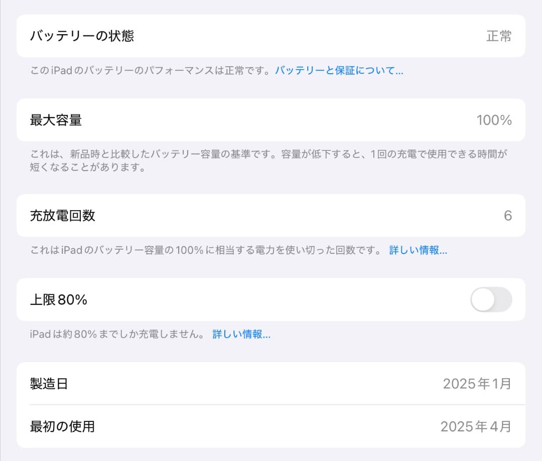 13インチiPad Pro Wi-Fi 256GB