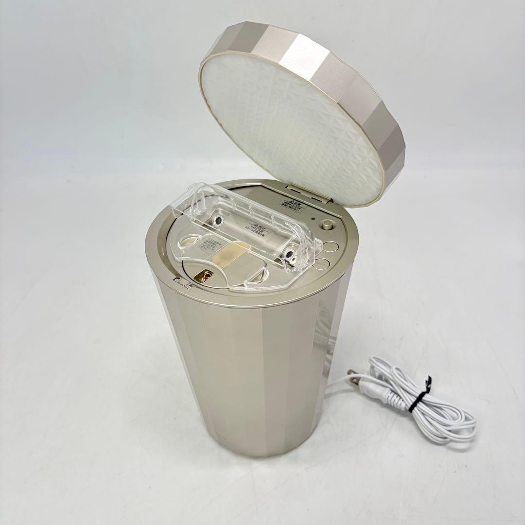 【美品・付属品完備】YA-MAN ヤーマン フォトスチーマー IS-101N