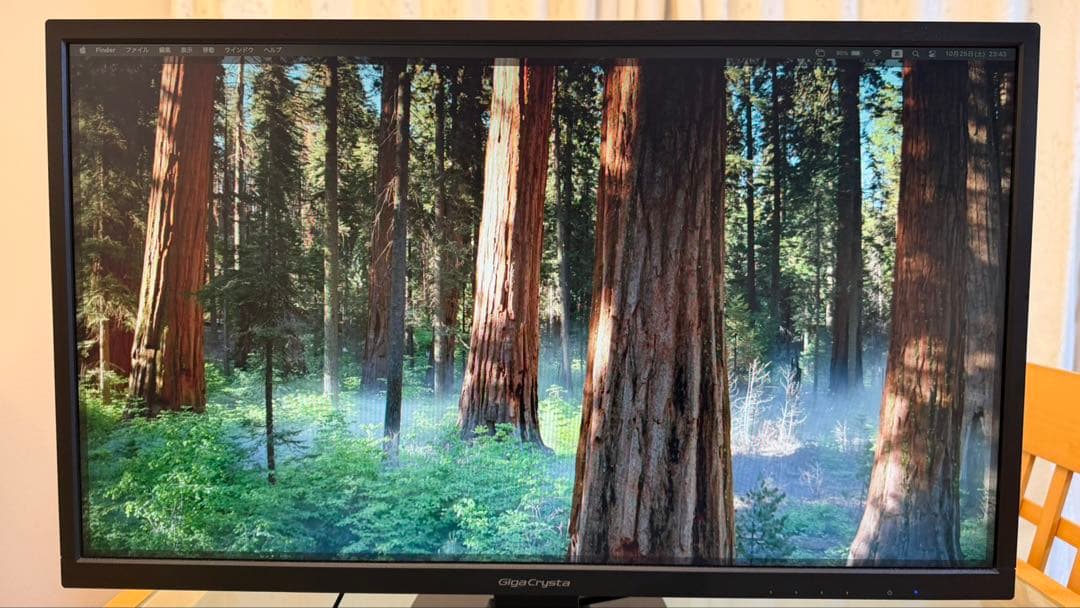 I•O DATA製　24.5型液晶モニター　GigaCrysta