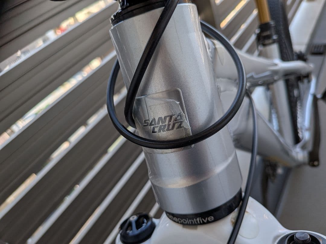 Santa Cruz Jackal　ジャッカル　2020シルバー