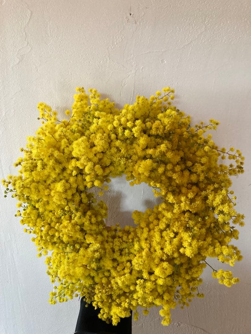 フレッシュミモザ 2026ご予約ページ