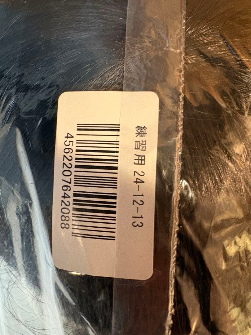 美容師国家試験 実技課題試験用 カットウィッグ