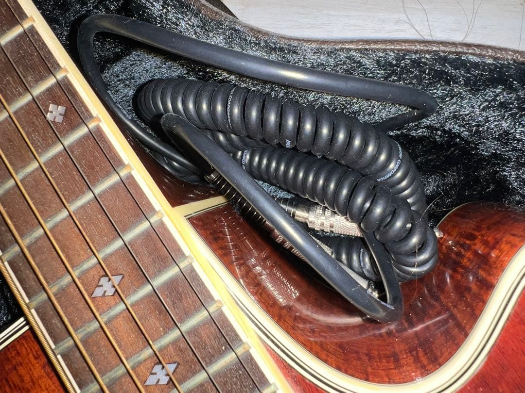 PT108-k Takamine エレアコ　ギター ハードケースその他付き