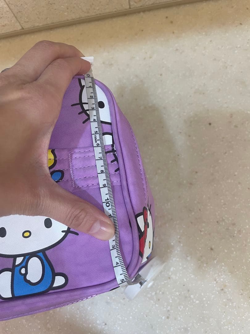 【日本未入荷】ハローキティ BAGGUバニティポーチ　サンリオ