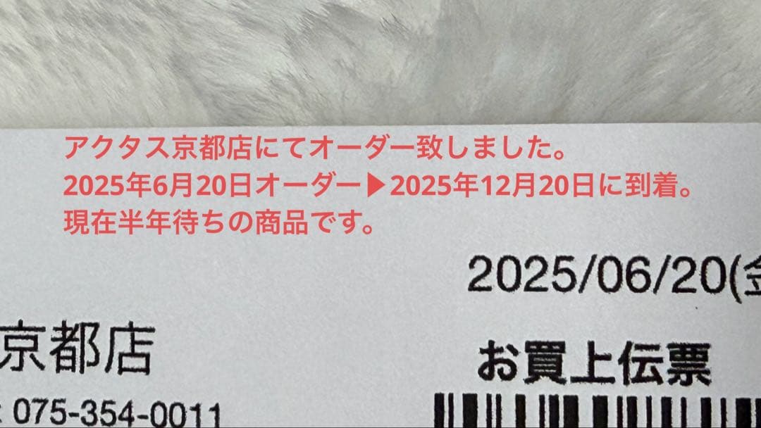 【新品未開封】ルイスポールセン　louis poulsen ph5 半年待ち品