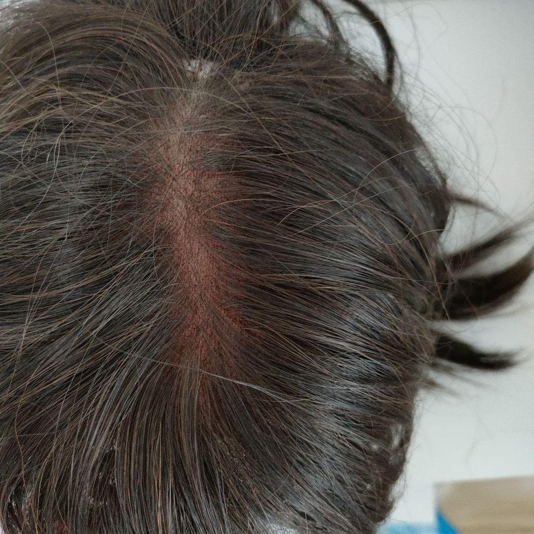 美品 ウルフヘア ウィッグ メッシュいり