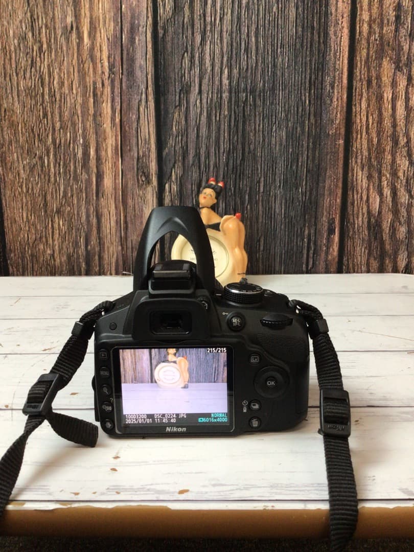 NIKON ニコン D3200 デジタル一眼レフカメラ ダブルレンズ