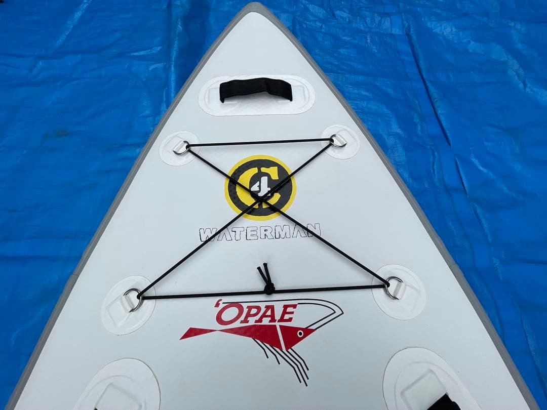 SUP C4 WATERMAN  PRO OPAE 日本限定モデル