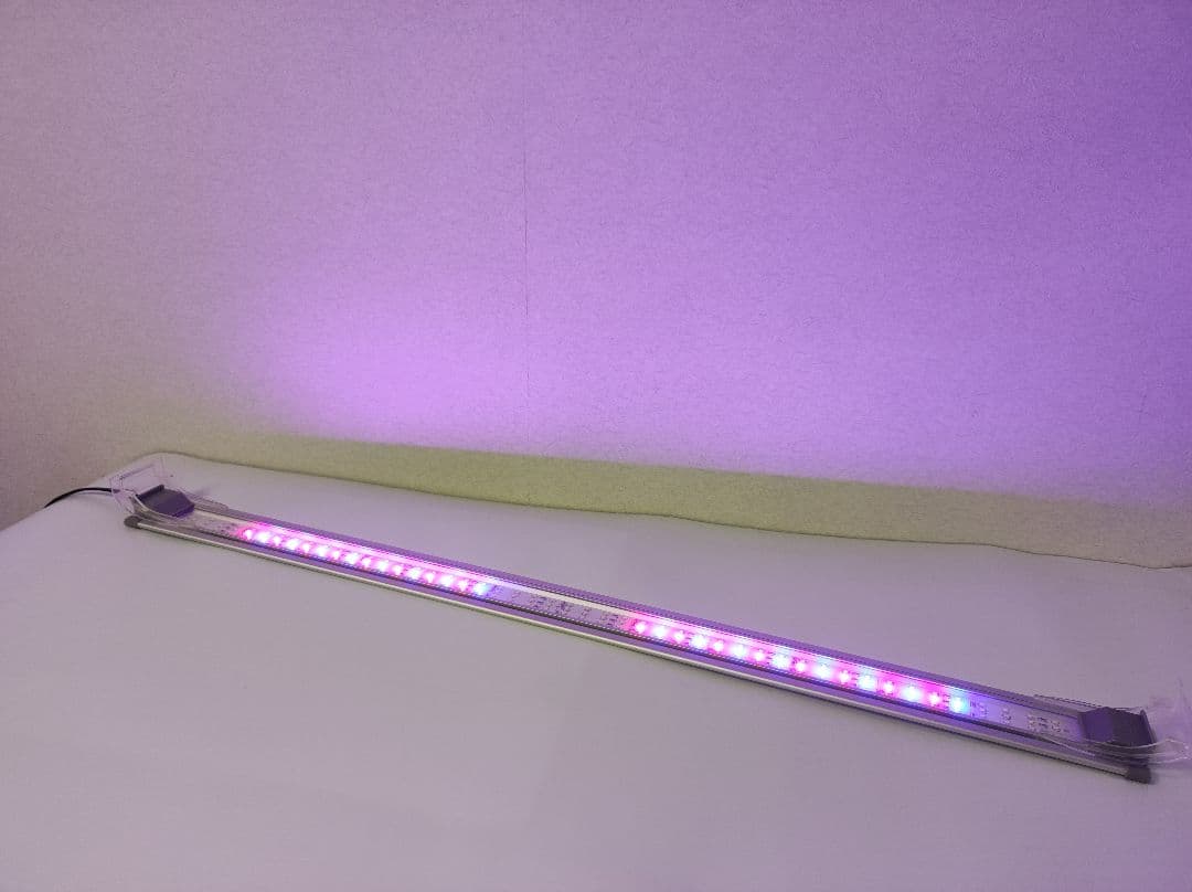 アポロ　ZENSUI LED ライト　白色　青色２本セット