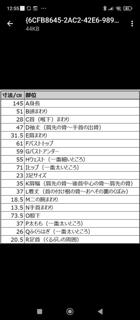 【holly】細身キッズセミドライオーダーウェットスーツ140cmー150cm