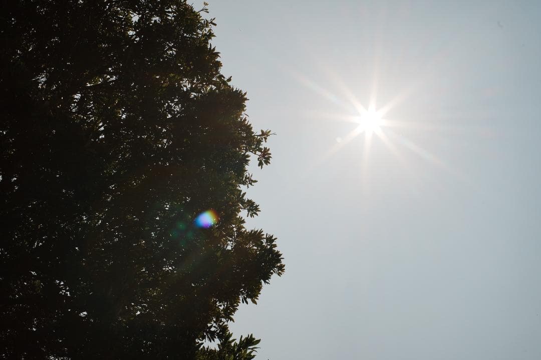 Pentax SMC Takumar 50mm F1.4 ペンタックス 303