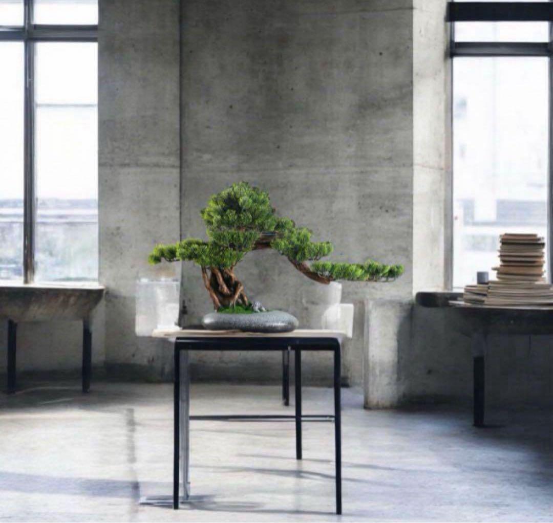 幅70cmフェイク盆栽 盆栽 松 人工盆栽 フェイクグリーン 造花 高品質 大型