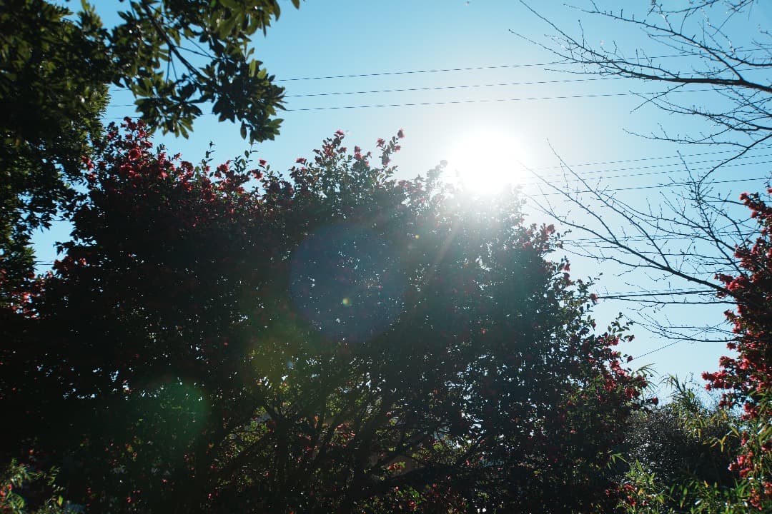 レンズ交換から解放される1本 SONY SEL18200LE 美品 719