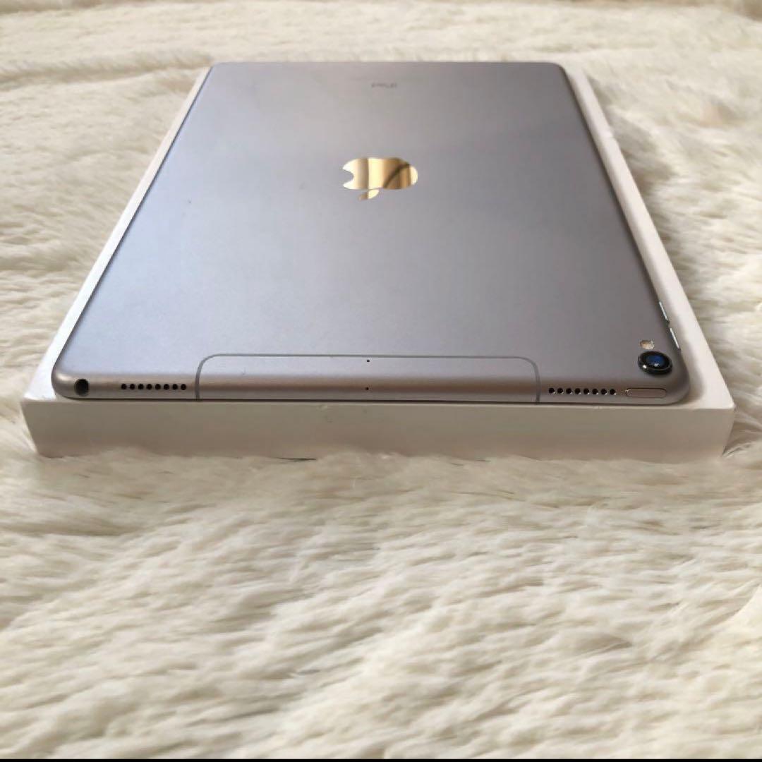 【早い者勝ち】iPad Pro 10.5 512GB 付属品多数！ 【すぐ発送】