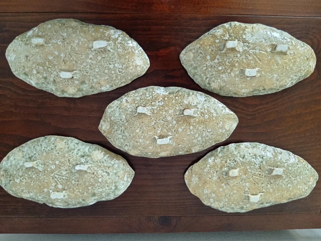 蓮善隆　灰釉平向付５客セット（伊賀焼）