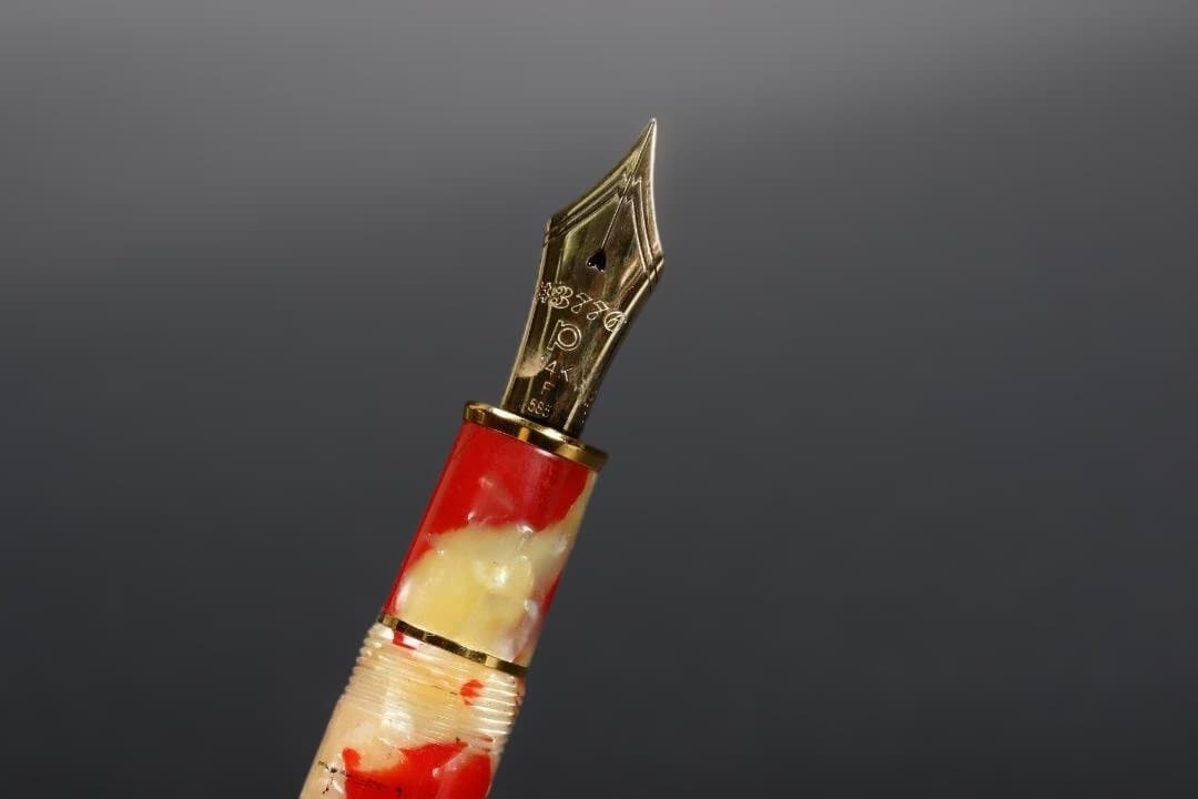 PLATINUM プラチナ 万年筆 #3776