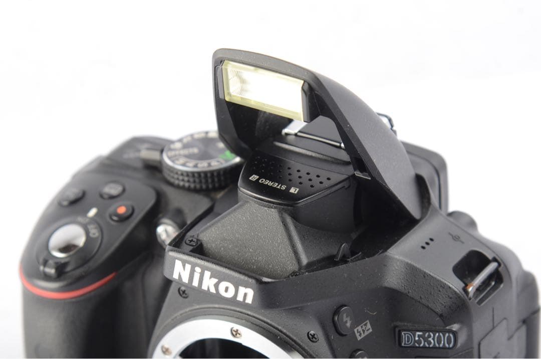 Nikon D5300 ダブルズームキット2 【元箱】#707-004
