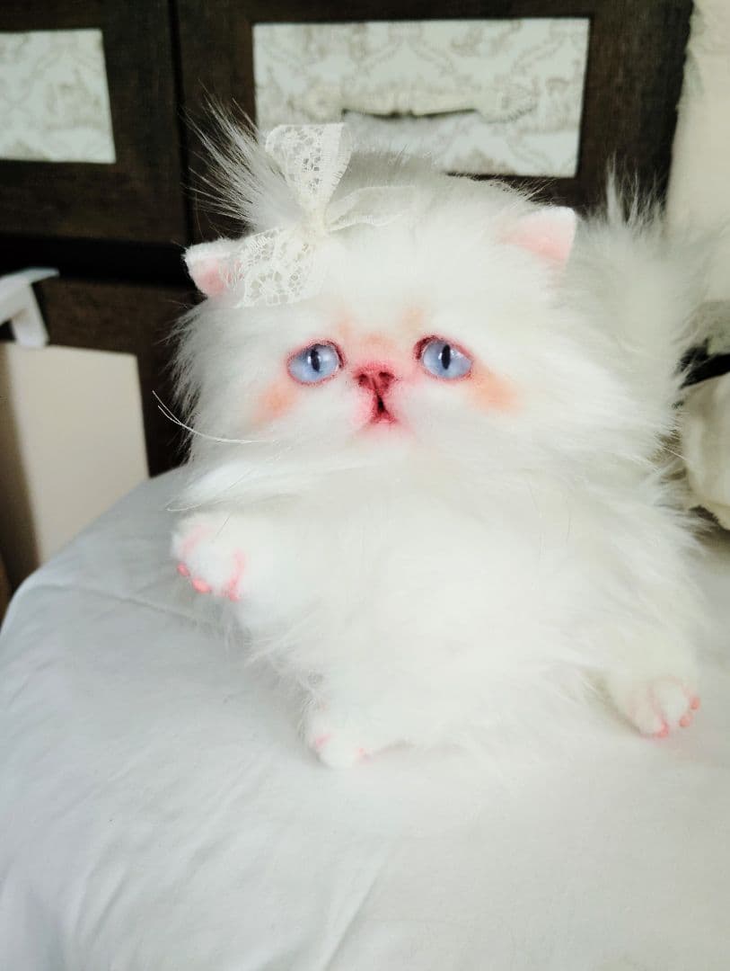 綺麗なオメメの女の子❤エキゾチック子猫ちゃん♡アートドール♡ぬいぐるみ♡