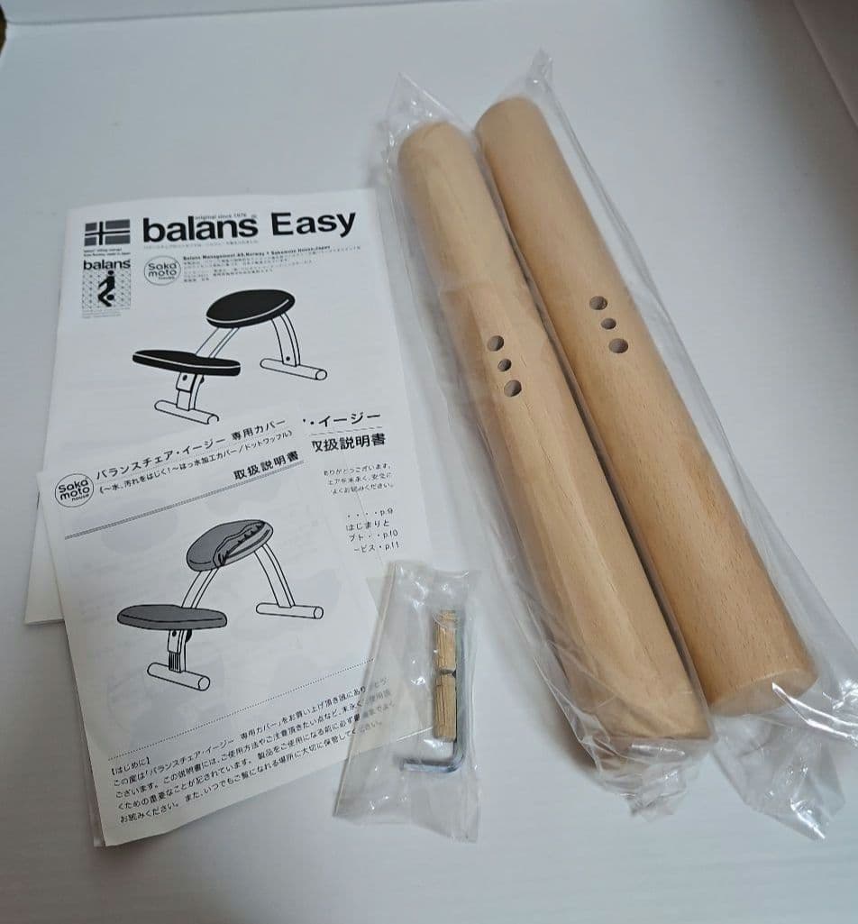 【美品】バランスイージー サカモトハウス バランスチェア　balans easy