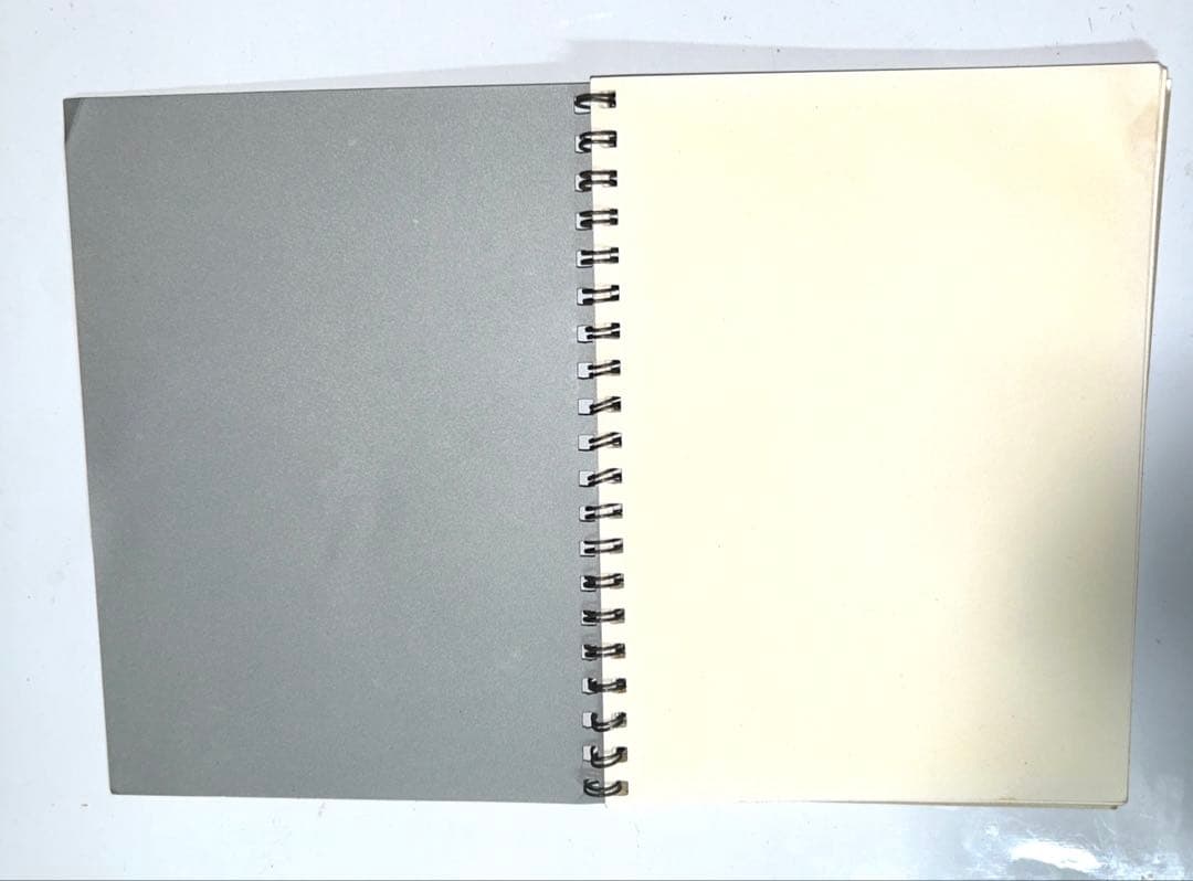 【ビンテージ】シャネル顧客限定配布品NOTES DE VOYAGE CHANEL